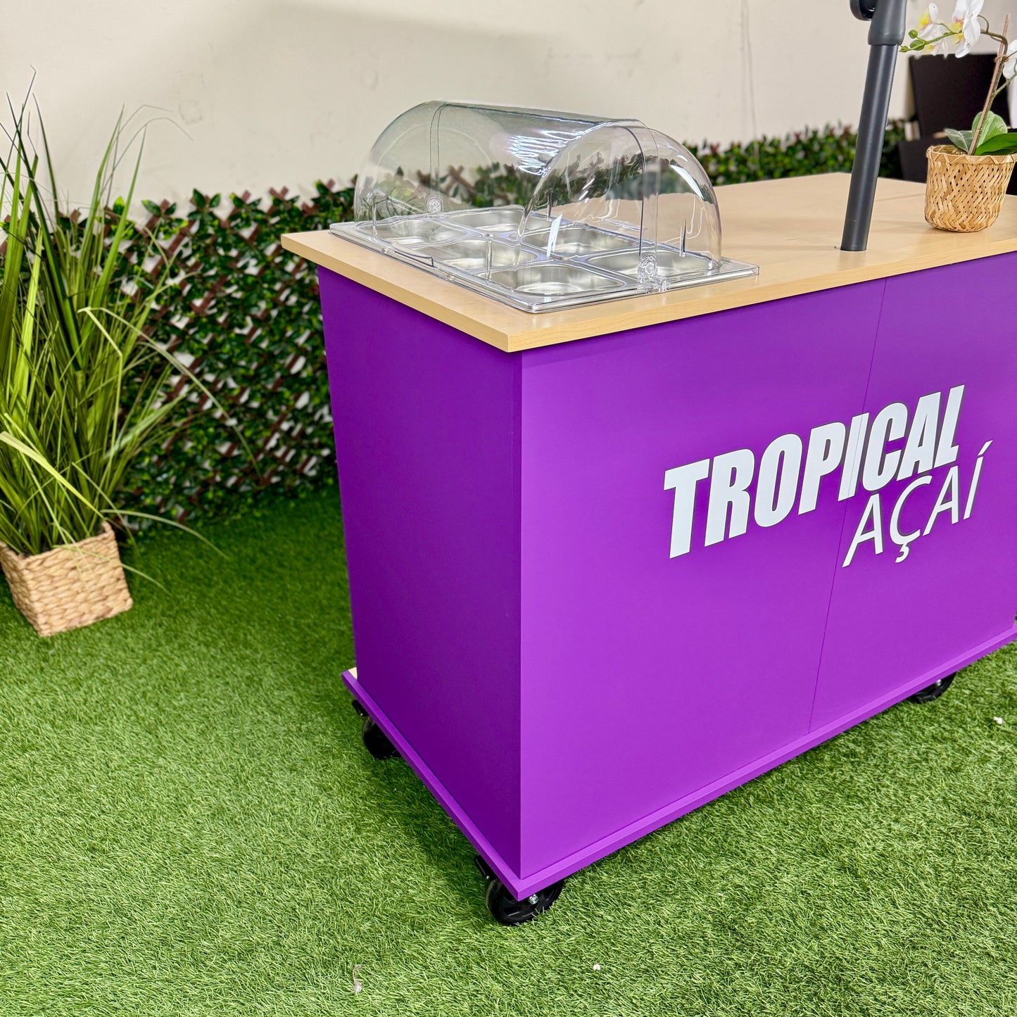 THE CLASSY VIBE - ACAI CART COLLECTION