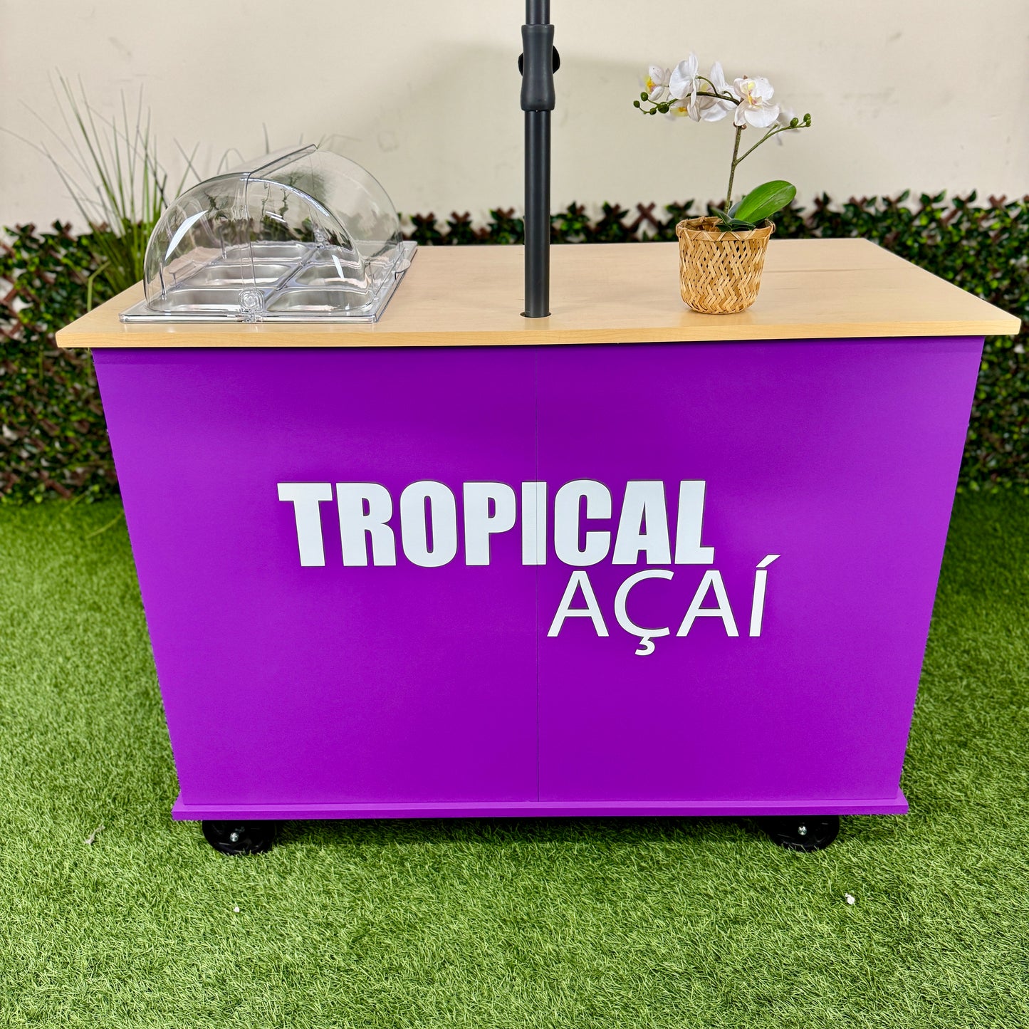 THE CLASSY VIBE - ACAI CART COLLECTION