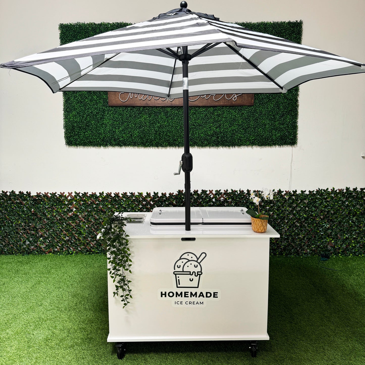 THE UNITE- ICE CREAM / POPSICLE CART